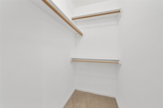 walk in closet with carpet flooring