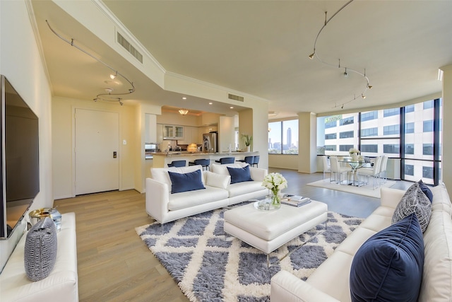 living room featuring track lighting and light hardwood / wood-style floors