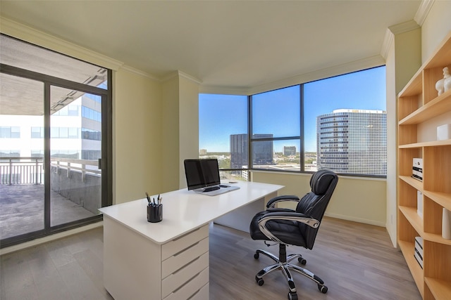 office with ornamental molding and light wood-type flooring