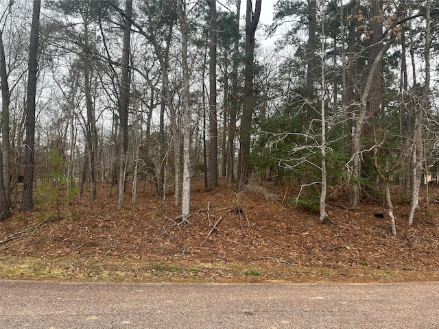 101 S Royale Greens Dr, Coldspring TX, 77331 land for sale