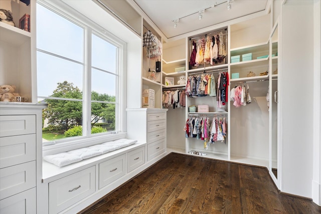 walk in closet with dark wood-type flooring