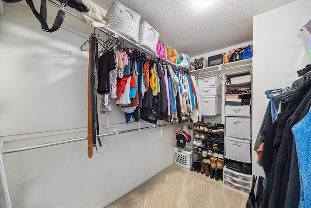 spacious closet featuring light carpet