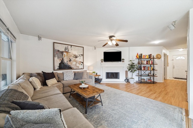 living room with ceiling fan and wood-type flooring