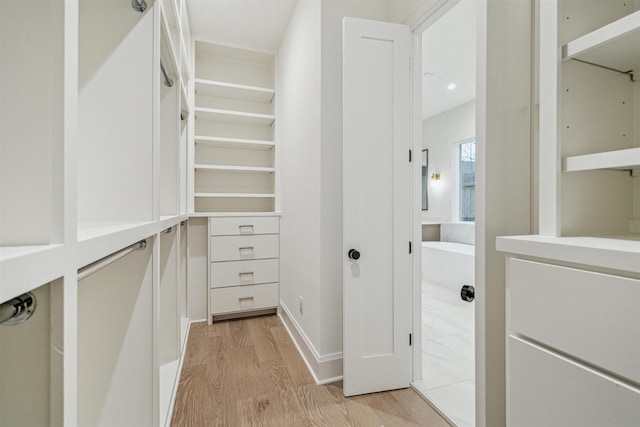 walk in closet featuring light wood-type flooring