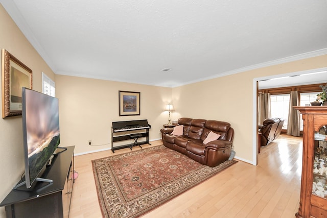 living room featuring ornamental molding and light hardwood / wood-style floors