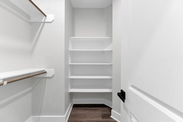 walk in closet featuring dark hardwood / wood-style floors