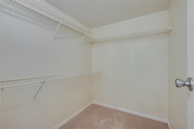 spacious closet featuring light colored carpet