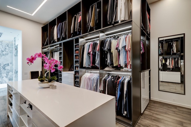 walk in closet featuring wood-type flooring