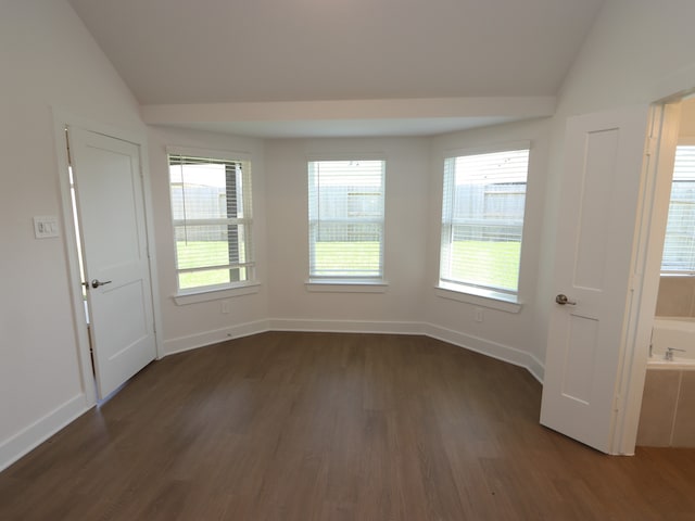 22478 Birchfield Grove Ln, New Caney, TX 77357 - empty room featuring vaulted ceiling, dark wood finished floors, plenty of natural light, and baseboards