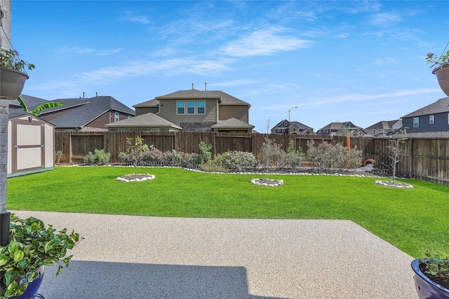 view of yard with a patio area and a shed