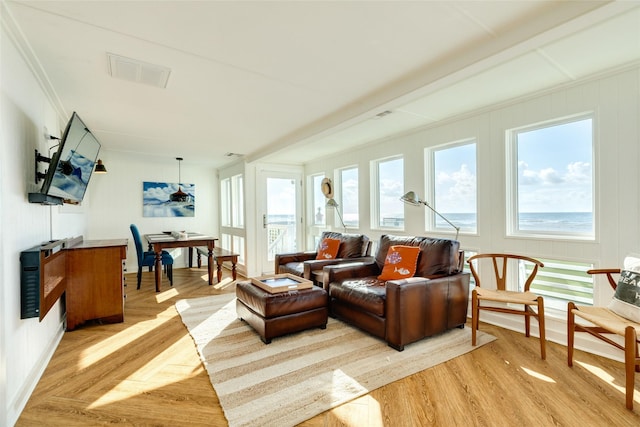 living room featuring light hardwood / wood-style flooring