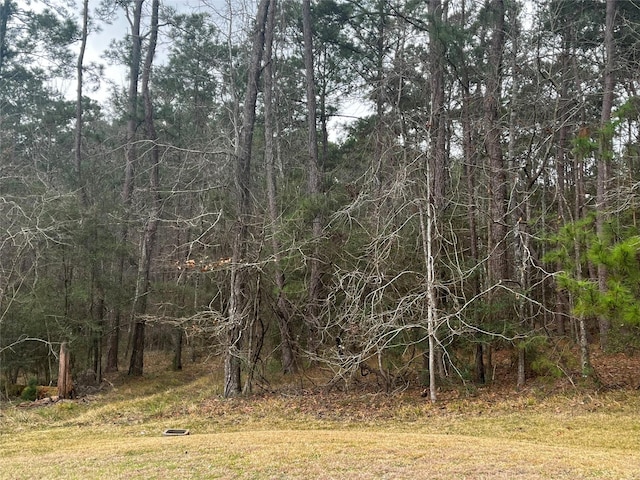 46 S Royale Greens Dr, Coldspring TX, 77331 land for sale