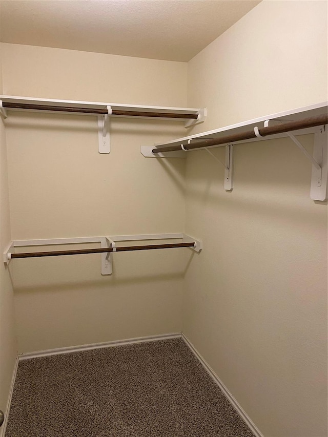 spacious closet featuring carpet floors