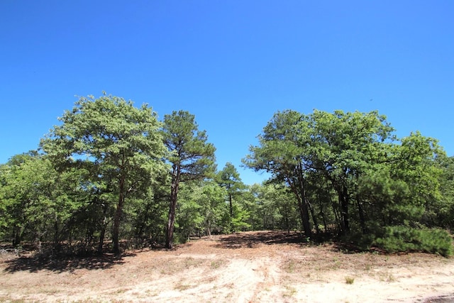 Listing photo 2 for TBD County Road 4552, Winnsboro TX 75494