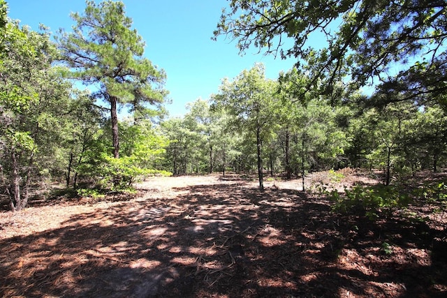 Listing photo 3 for TBD County Road 4552, Winnsboro TX 75494