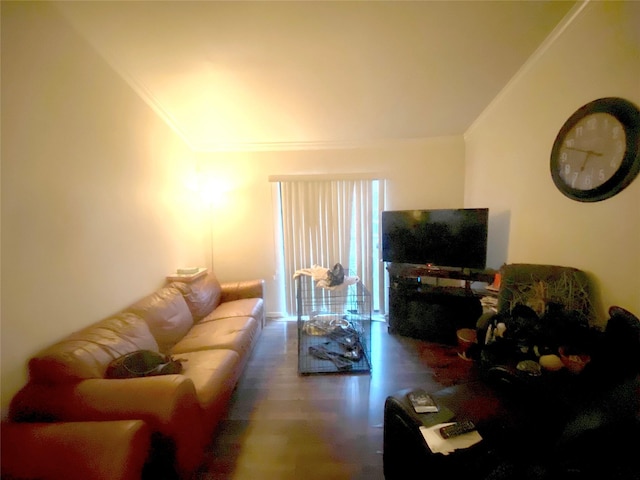 living room featuring crown molding and dark wood-type flooring