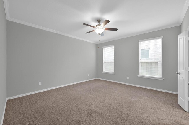 carpeted spare room with ornamental molding and ceiling fan