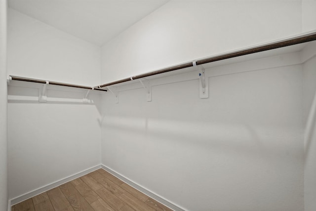 spacious closet featuring hardwood / wood-style floors