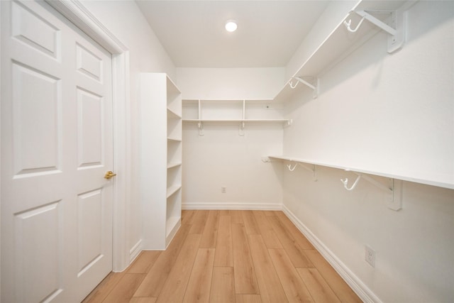 spacious closet featuring light hardwood / wood-style flooring