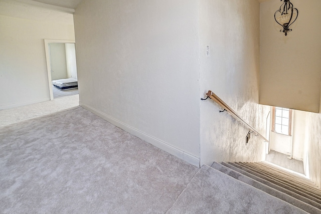 stairway featuring carpet flooring