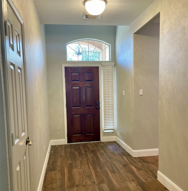 foyer with dark wood-type flooring