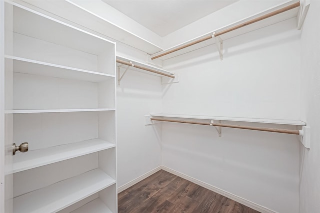 spacious closet with dark hardwood / wood-style flooring