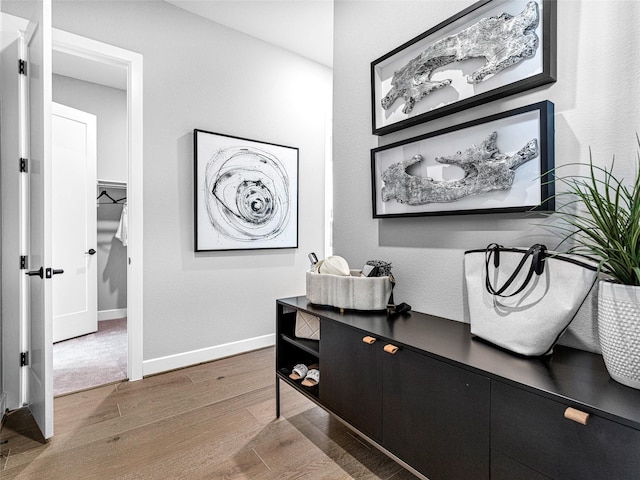 bathroom featuring wood-type flooring