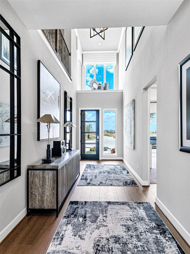 entrance foyer with hardwood / wood-style flooring, a high ceiling, and an inviting chandelier