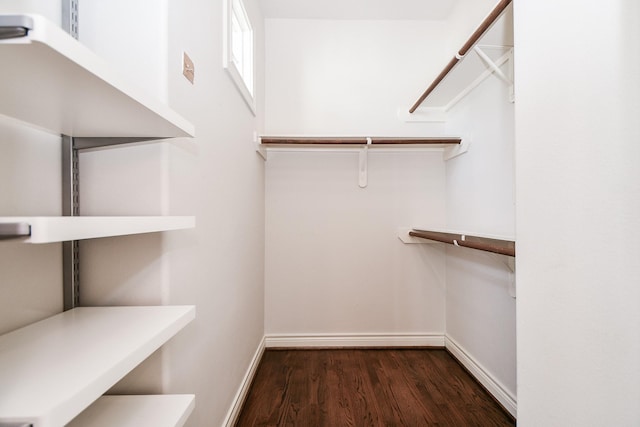 spacious closet featuring dark hardwood / wood-style flooring