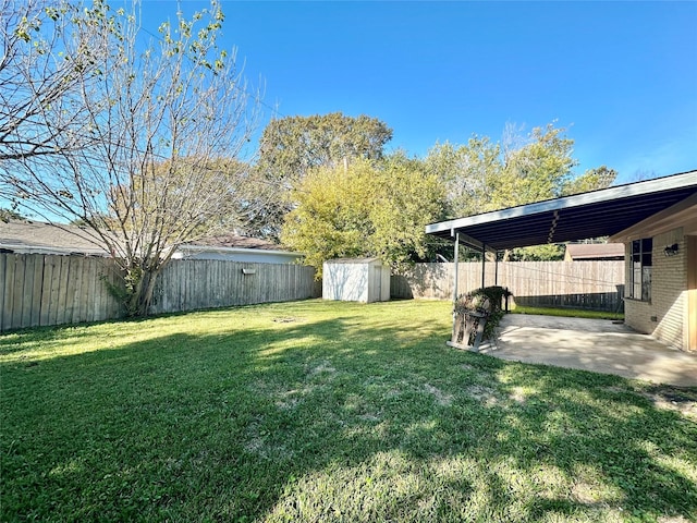 view of yard with a storage shed and a patio area