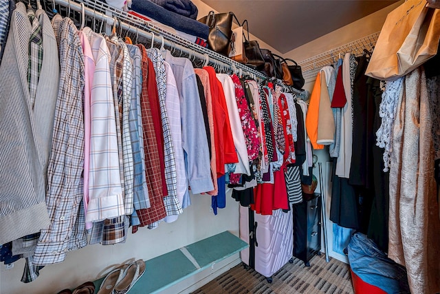 view of spacious closet