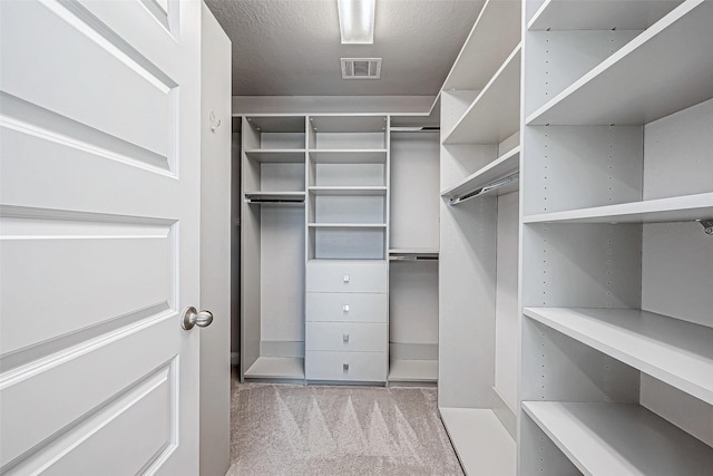 spacious closet with light colored carpet