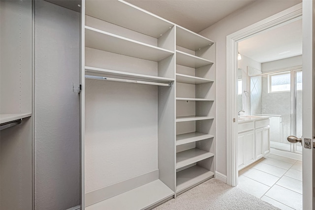 spacious closet with light colored carpet