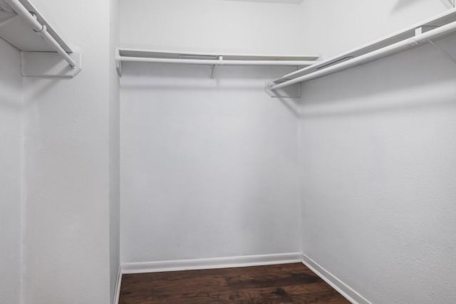 spacious closet with dark hardwood / wood-style floors