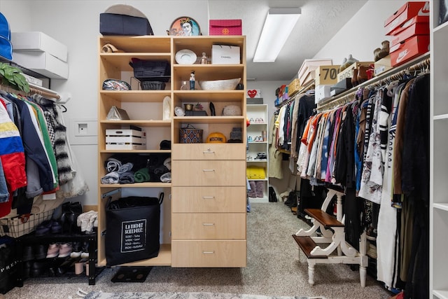 walk in closet with carpet