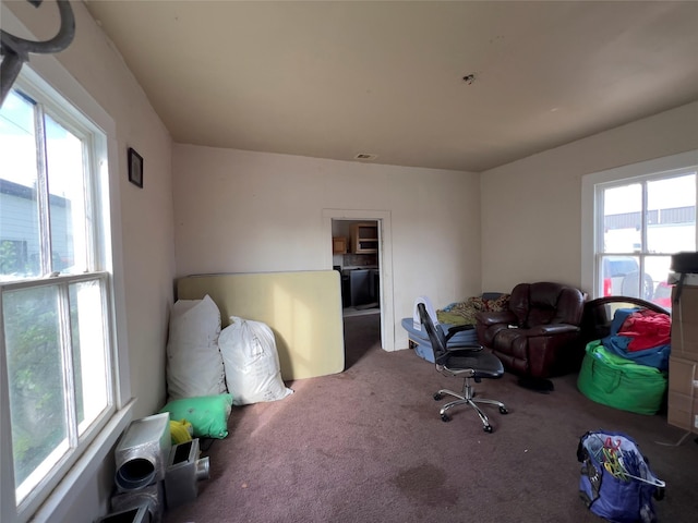 home office with carpet flooring