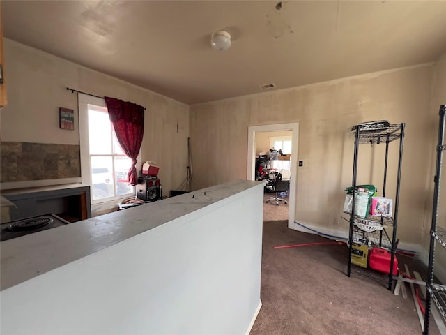 kitchen featuring carpet flooring