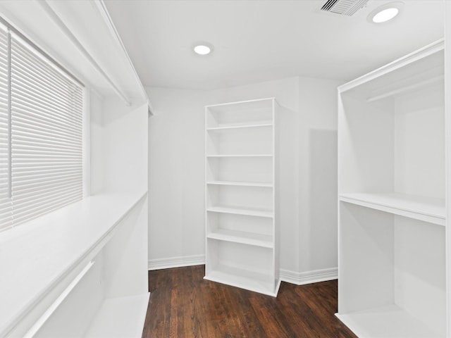 spacious closet with dark hardwood / wood-style flooring