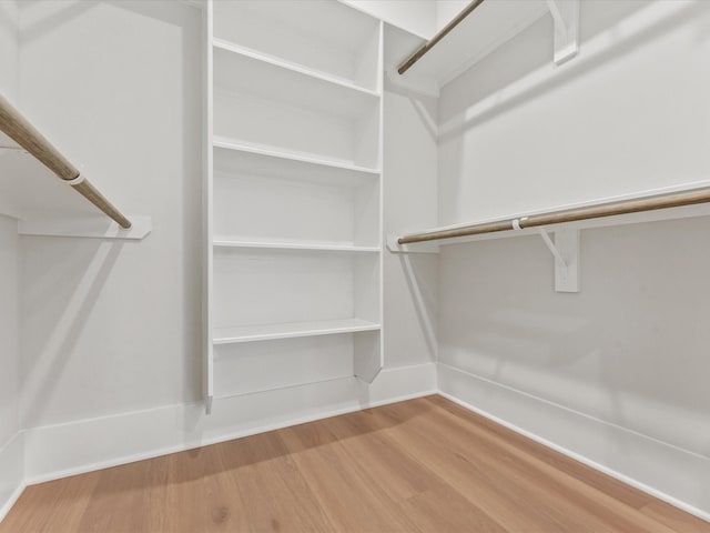 walk in closet with wood-type flooring