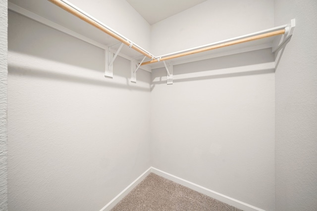 walk in closet featuring carpet flooring