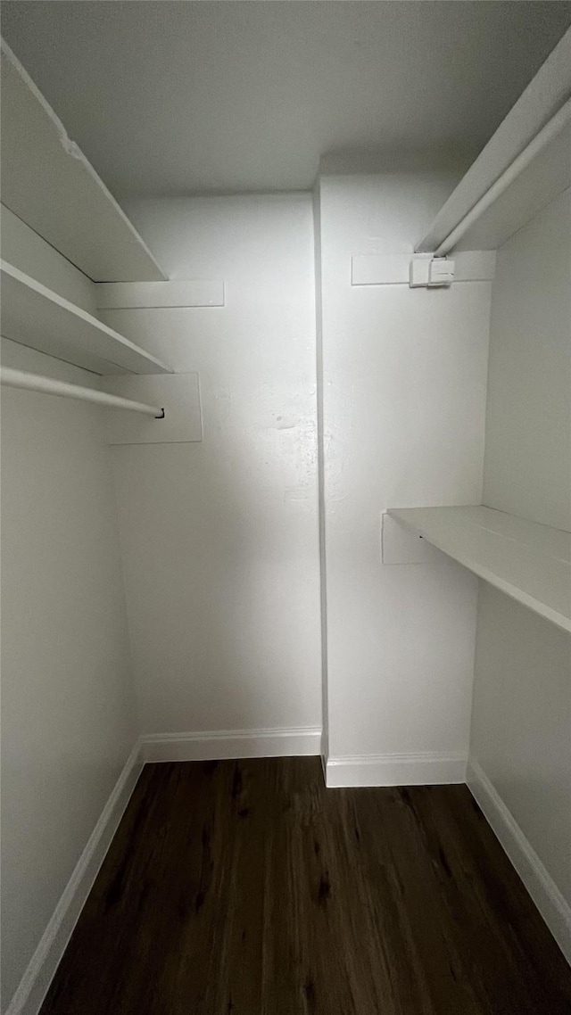 walk in closet featuring dark wood-type flooring