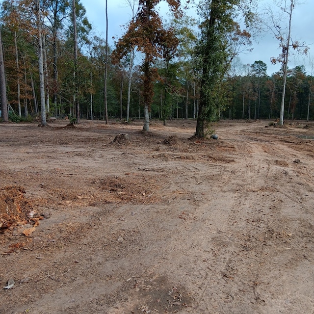 LOT22 Plum Pudding Rd, Livingston TX, 77351 land for sale