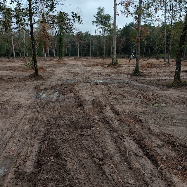 Listing photo 3 for LOT22 Plum Pudding Rd, Livingston TX 77351