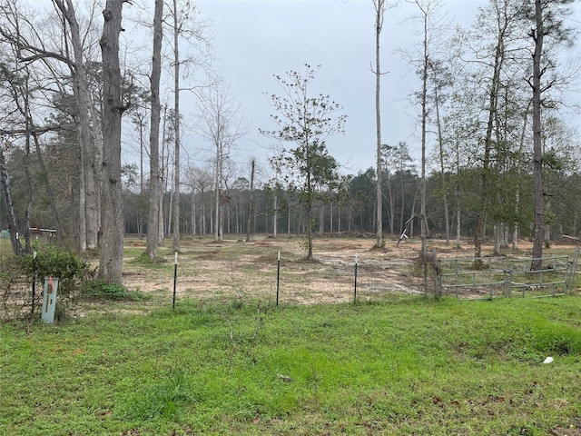 Listing photo 3 for LOT22 Plum Pudding Rd, Livingston TX 77351