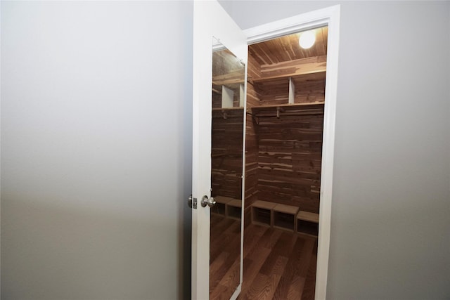 walk in closet with hardwood / wood-style flooring