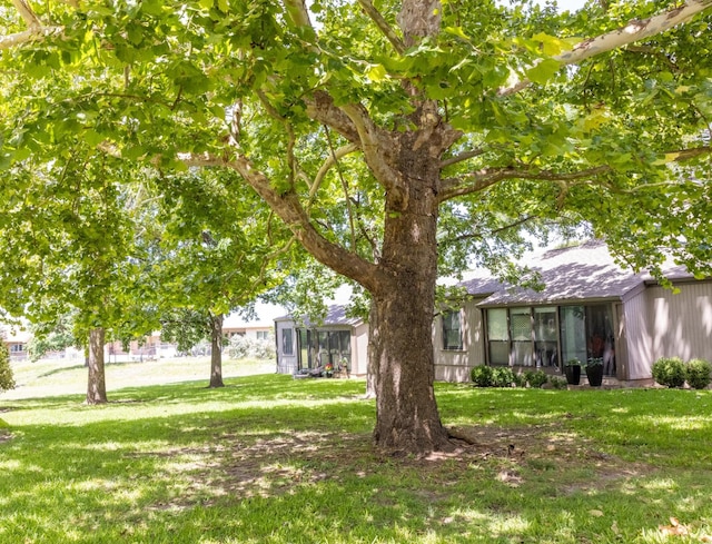 view of yard featuring a sunroom