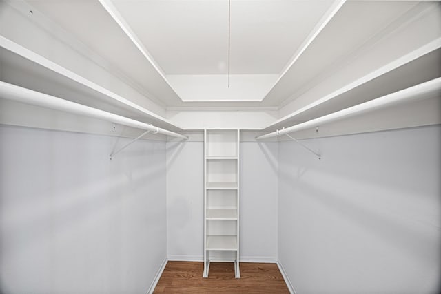 spacious closet featuring wood-type flooring