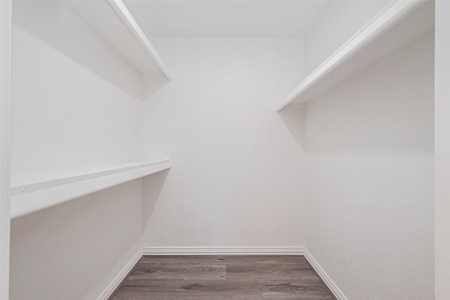 walk in closet featuring dark hardwood / wood-style flooring