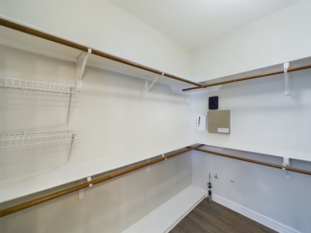 spacious closet with dark hardwood / wood-style flooring