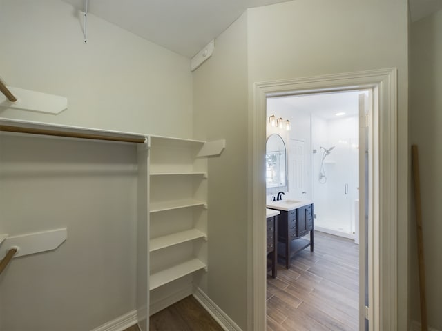 spacious closet with wood-type flooring and sink